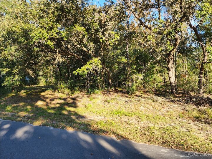 Property Photo: 1329 N Mediterranean Way FL 34453