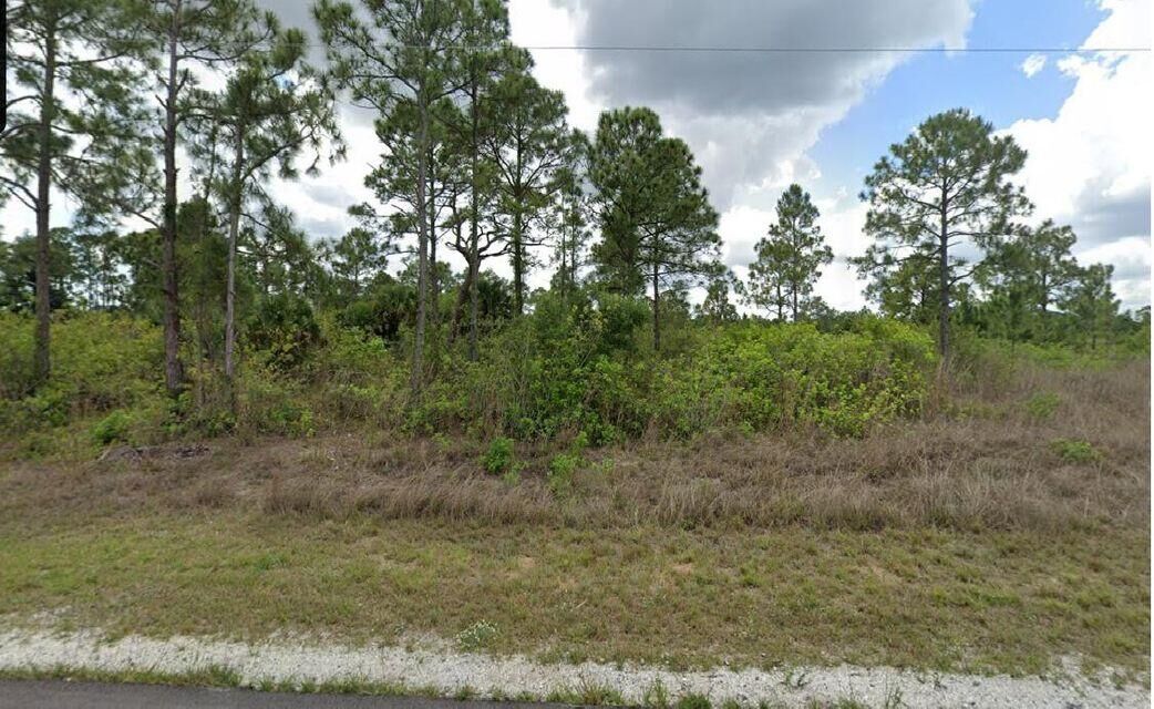 Property Photo:  1003 Hines Avenue  FL 33920 