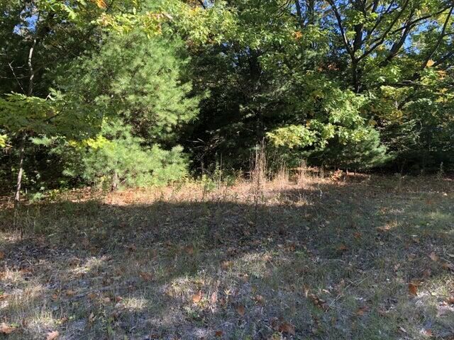 Property Photo: Lots 2 &Amp 3 W Etherington Street MI 49701