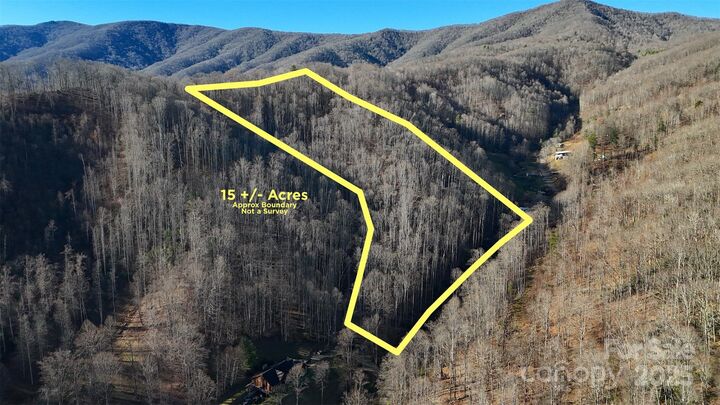 15 +/- Acres Riddle Branch Road  Burnsville NC 28714 photo
