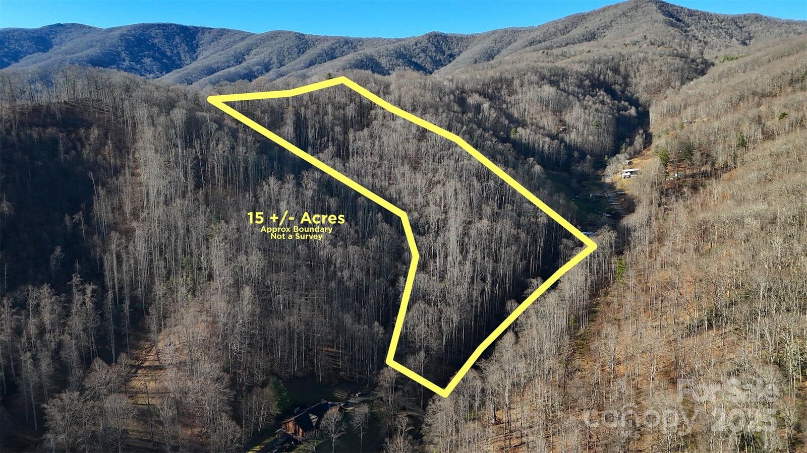 Property Photo: 15 +/- Acres Riddle Branch Road NC 28714
