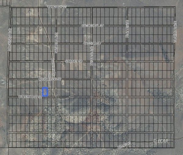 Property Photo:  066020020 Bitterroot Street  NV 89801 