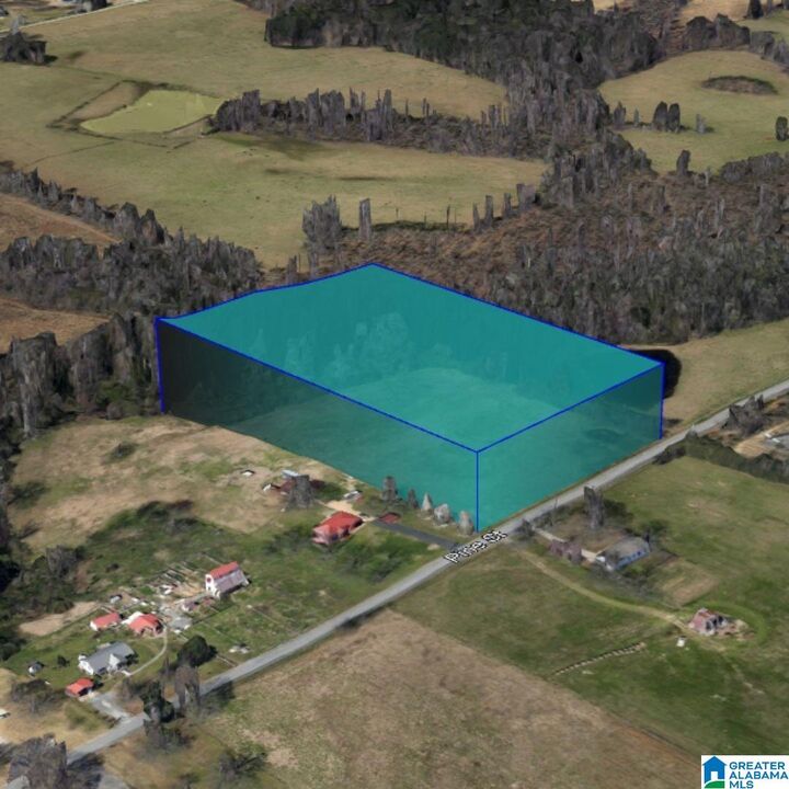 Property Photo:  0 Pine Street 0  AL 35950 