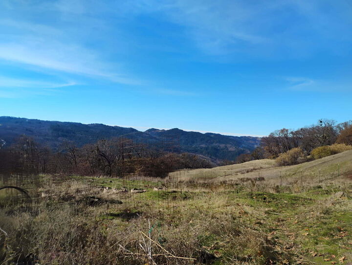 Property Photo: 11 Bronco Court CA 95526