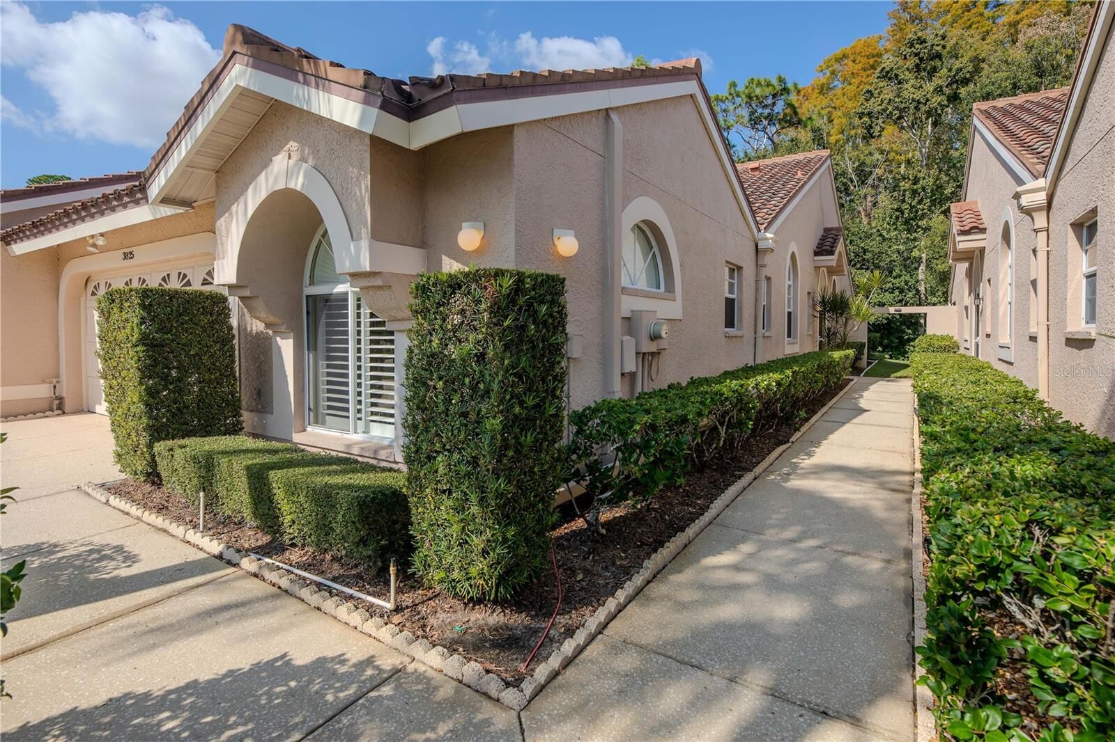 Property Photo:  3825 Darston Street  FL 34685 