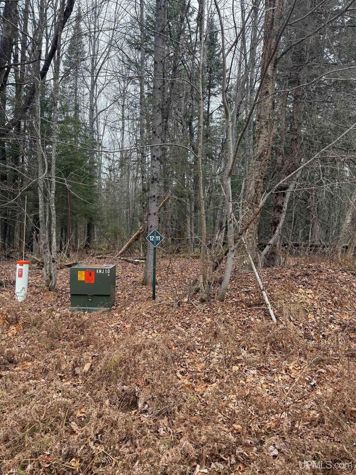 Lot 11 Keweenaw Pass  Lake Linden MI 49945 photo