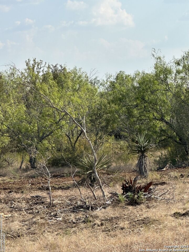 Property Photo: 5894 Fm 1107 Unit B-Tract 1 TX 78160