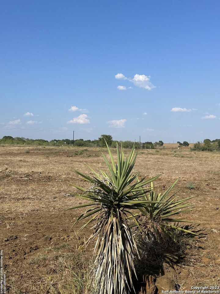 Property Photo:  5894 Fm 1107 Unit A-Tract 2  TX 78160 