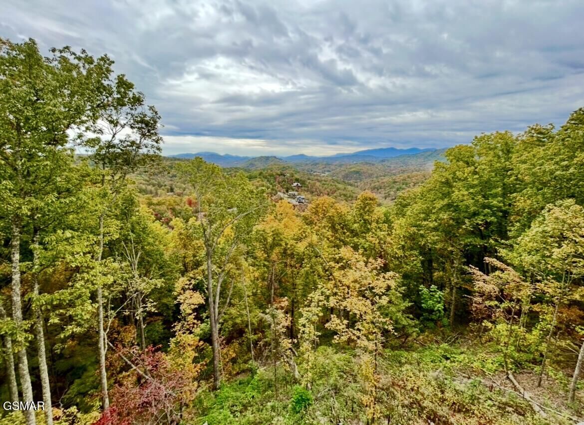 Property Photo:  1817 Pinestand Ridge Way Way  TN 37862 
