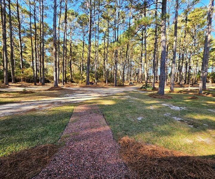 Property Photo:  785 Glynn Willis Rd  GA 31765 