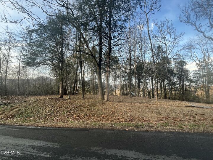 Tbd Hill Station Alley Rd.  Gate City VA 24251 photo