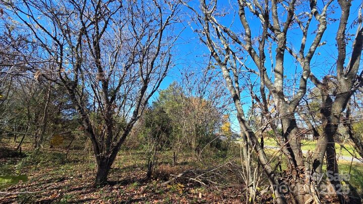 Property Photo:  00000 Reepsville Road  NC 28168 