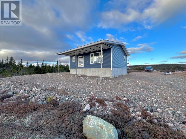 Lot 00 Gull — photo 1