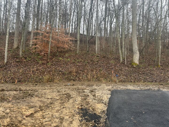 Property Photo:  137  Lot 54 Yellowstone Drive Lot 54  KY 40729 
