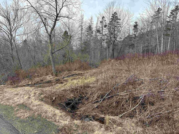 Property Photo:  Culloden Road  NS B0V 1A0 