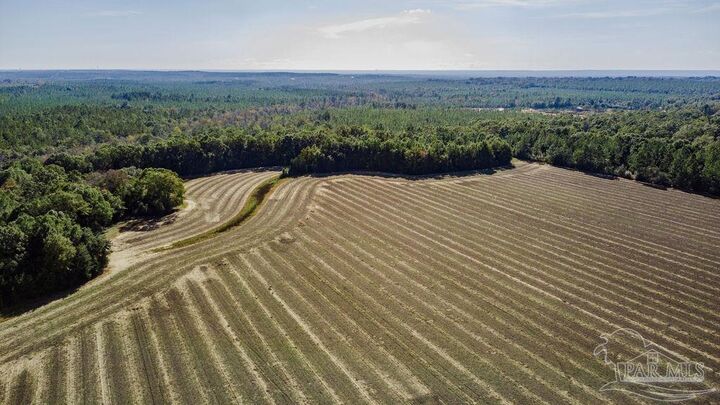 Property Photo: 1A Segrest Rd FL 32571