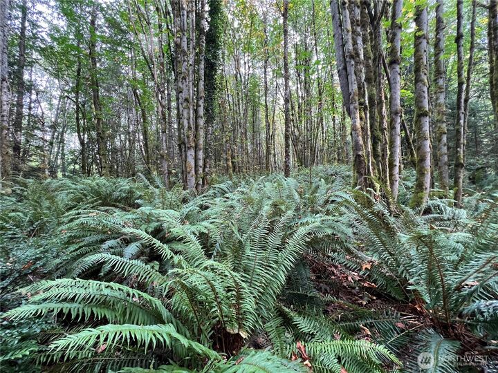 Property Photo: 4 Xx Scenic Drive WA 98370