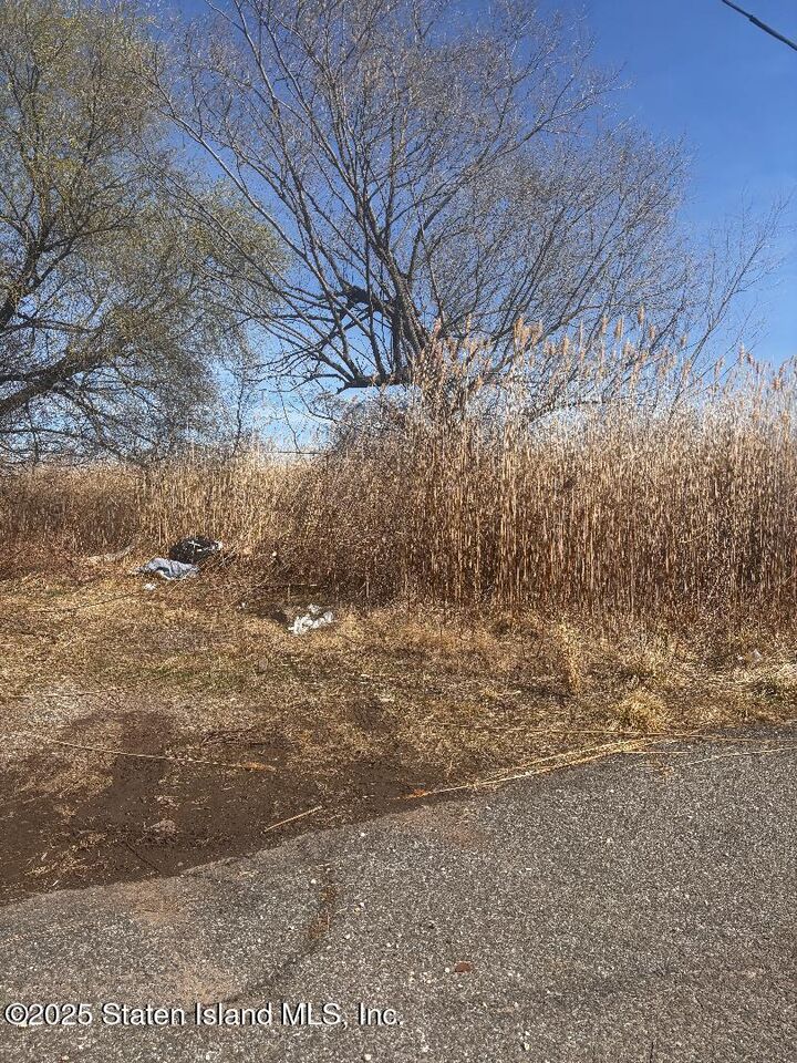 Property Photo:  0 Kissam Avenue  NY 10306 