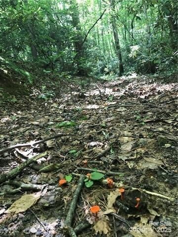 Property Photo: 172 Crimson Drive 995 NC 28762