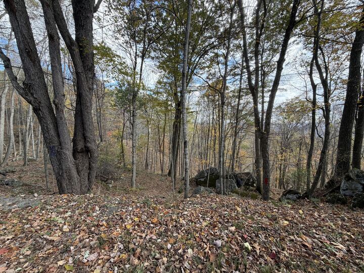 Property Photo:  Muddy Creek Mountain Rd  WV 24901 