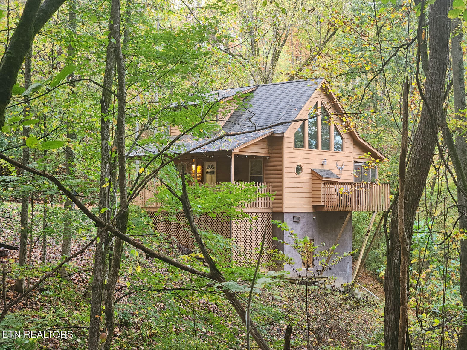 Property Photo:  3163 Sourwood Way  TN 37862 