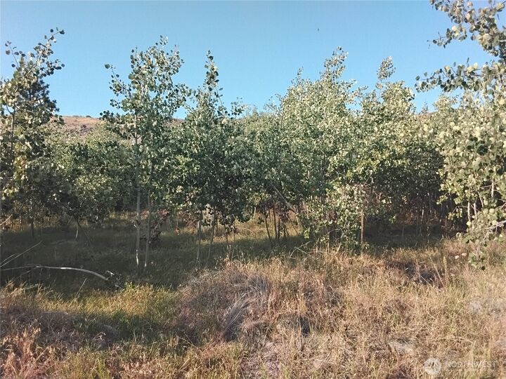 Property Photo:  4  Painted Rock Road  WA 98855 