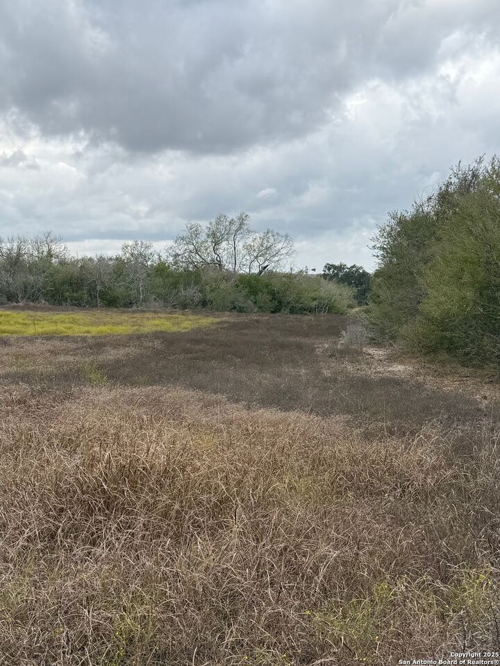 Property Photo:  4689 County Road 302  TX 78151 