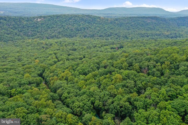 Property Photo: 333 Rouse Mountain Road WV 25422