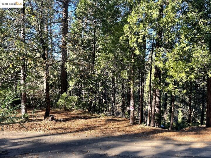 22447 Ponderosa Dr  Twain Harte CA 95383 photo