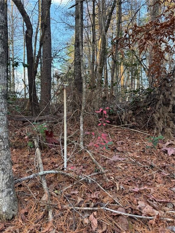 Property Photo:  0 Meadowbrook Drive  GA 30540 