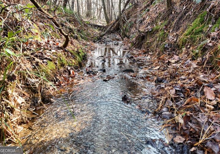 Property Photo:  232 Possum Trot Road  GA 30512 