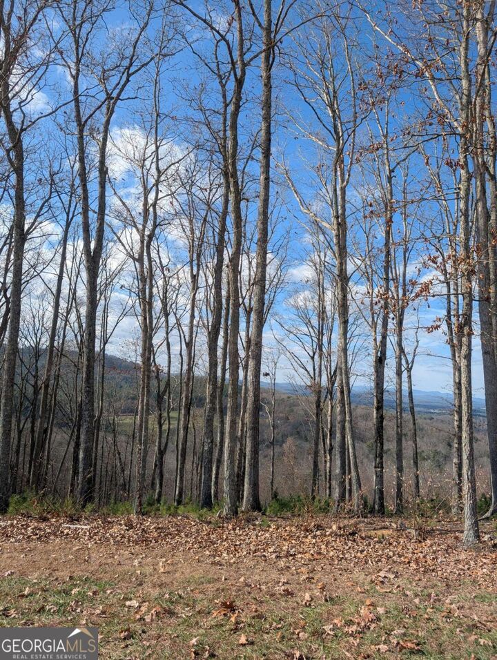 Property Photo: Lot 91 Winding Ridge GA 30512