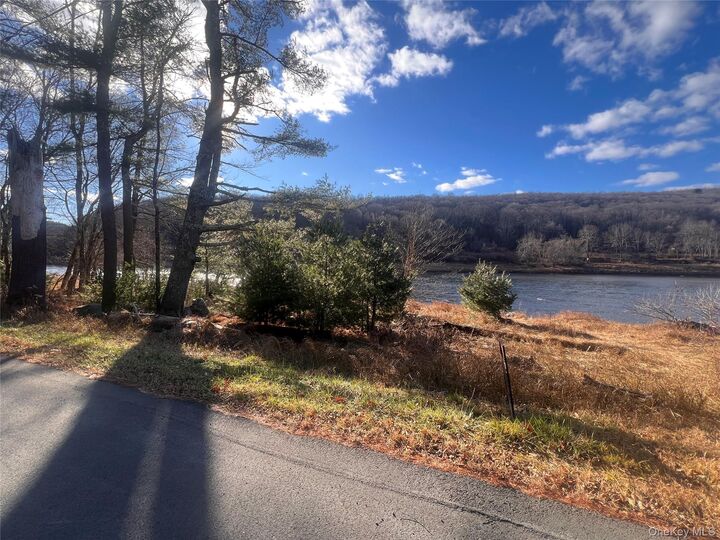 Property Photo:  Hankins Rd  NY 12764 