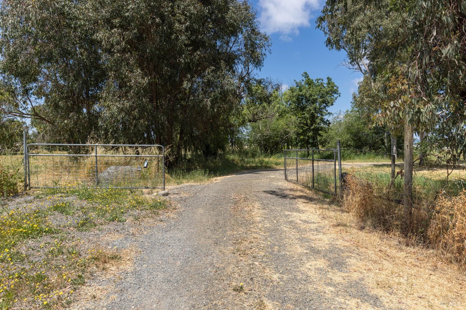 Property Photo:  885 Todd Road  CA 95407 