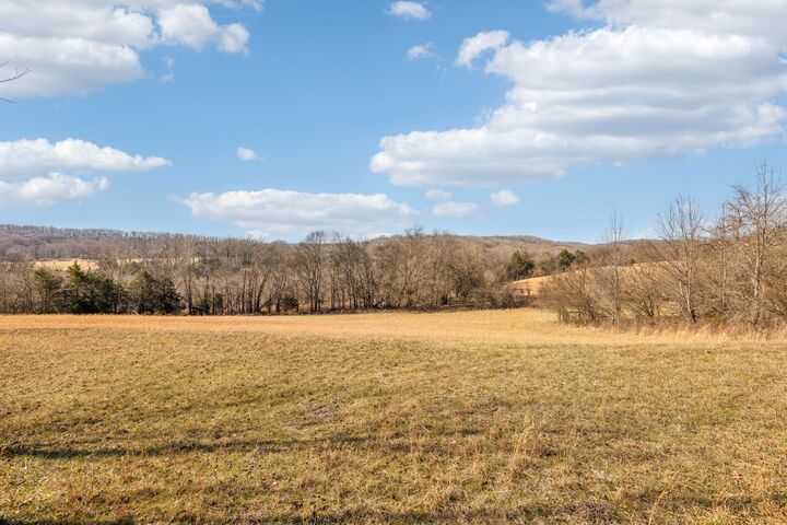 Property Photo: 8005 Palmore Hollow Pvt Ln TN 37135