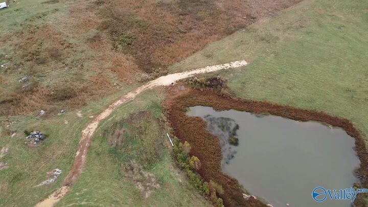 Property Photo:  13.9 Acres County Road 429  AL 35971 