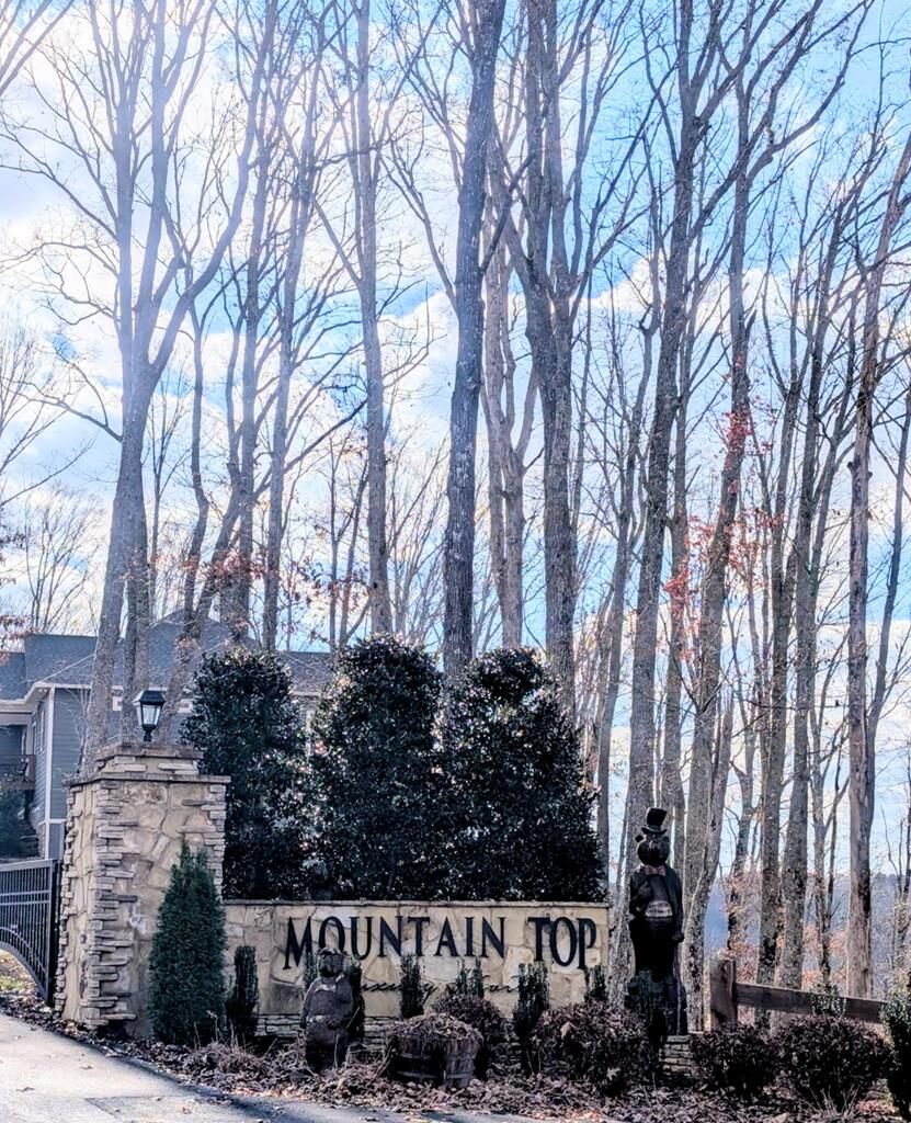 Property Photo:  Lot 91 Winding Ridge  GA 30512 