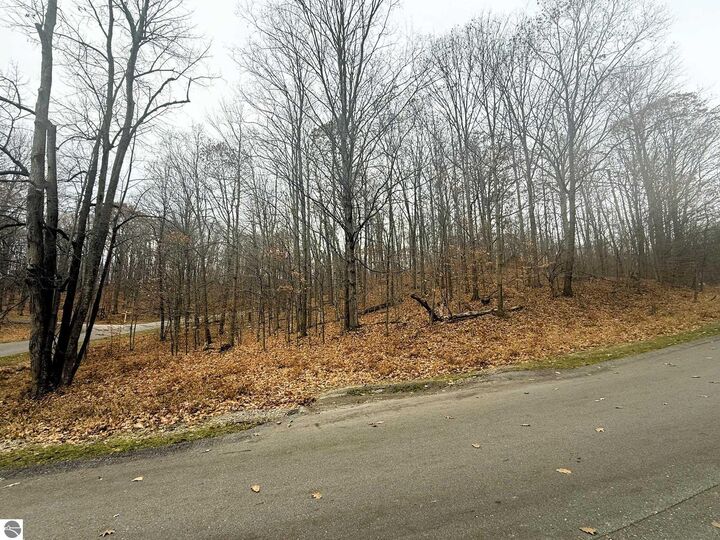 Property Photo: Lot 57 Valley Run MI 49615