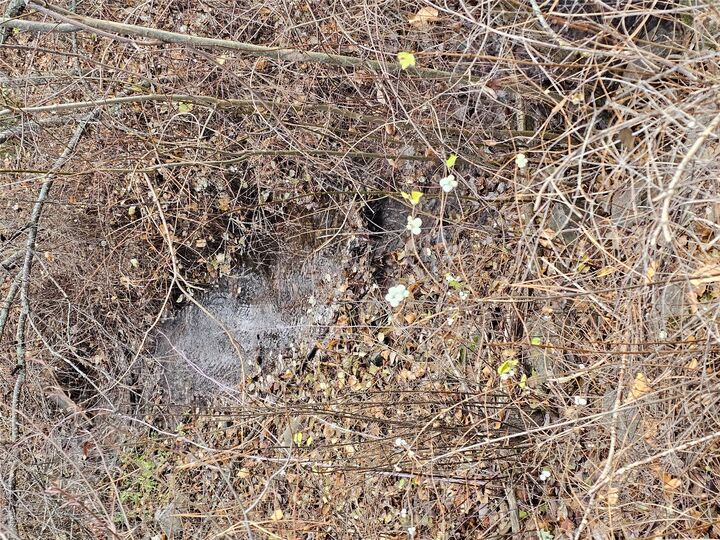 Property Photo:  22255 Wallace Creek Road  MT 59825 