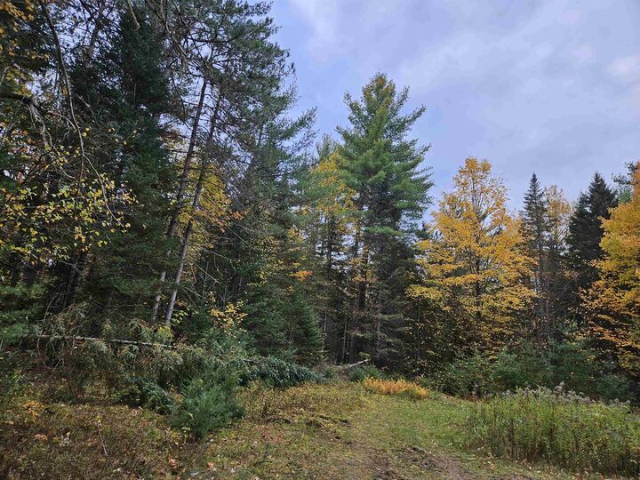 Property Photo:  1476 Profile Road  NH 03580 