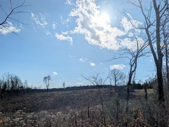 Nc 2900  Marble Falls AR 72648 photo