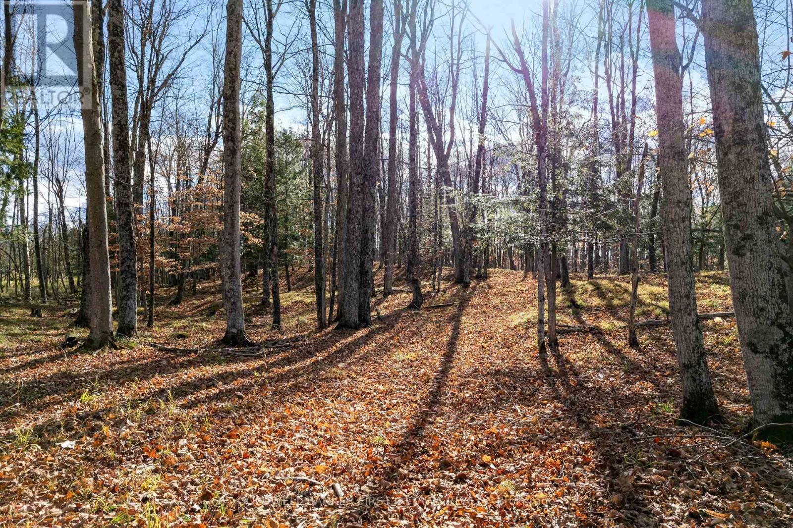 Property Photo:  Pt 2-00 Herron Mills Road  ON K0G 1K0 