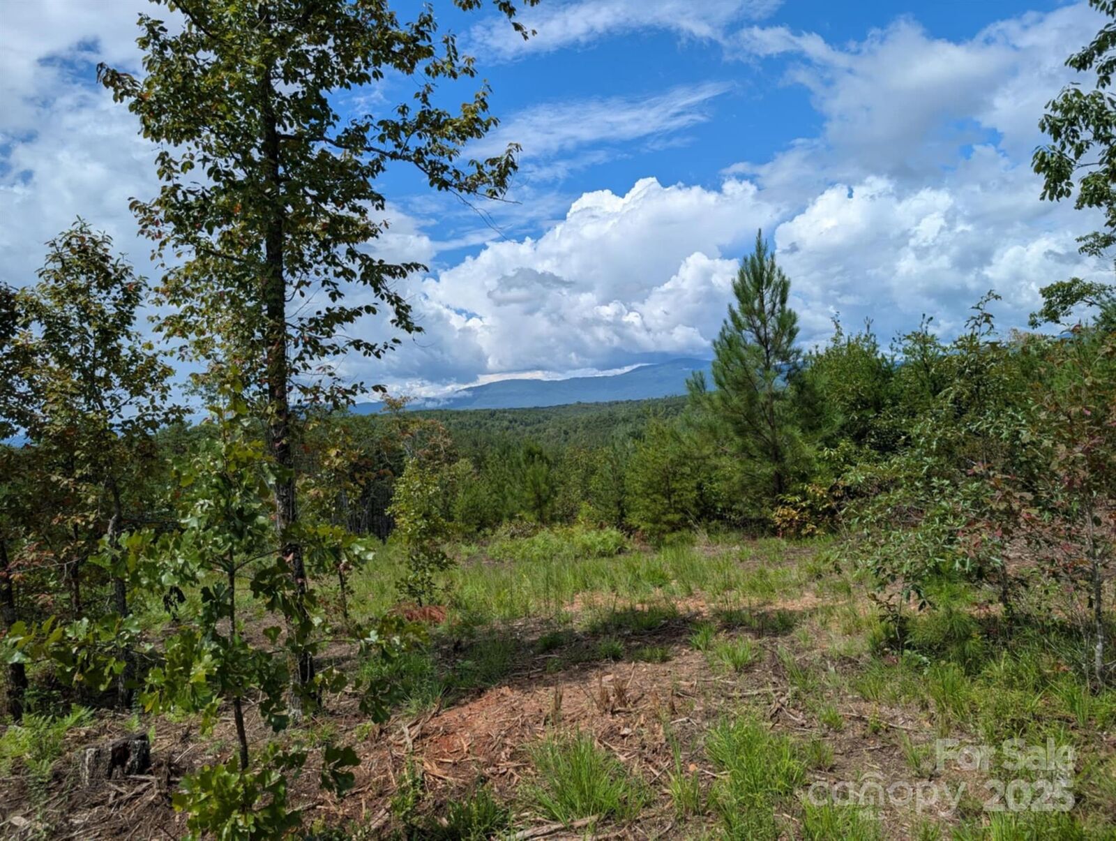 Property Photo:  Lot #3 Price Summit Way  NC 28756 
