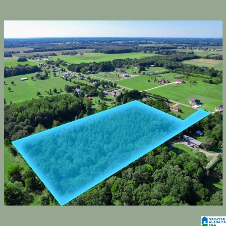 Property Photo: 0 County Road 118 0 AL 35741