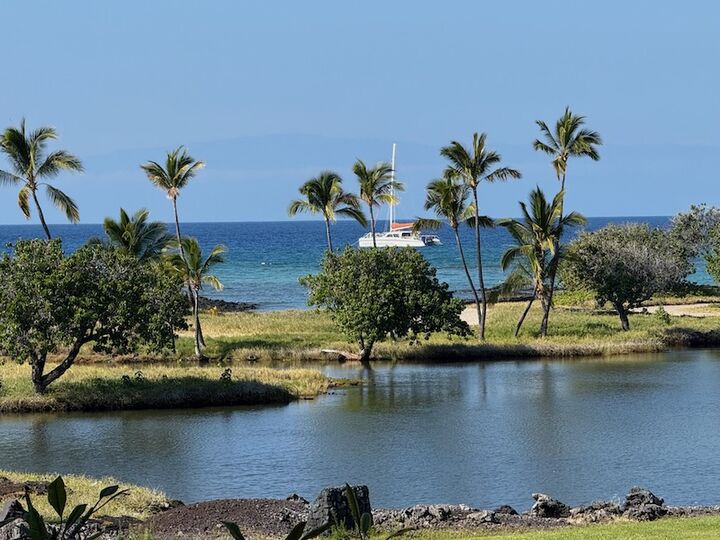 Property Photo: 68-1399 Mauna Lani Dr H202 HI 96743