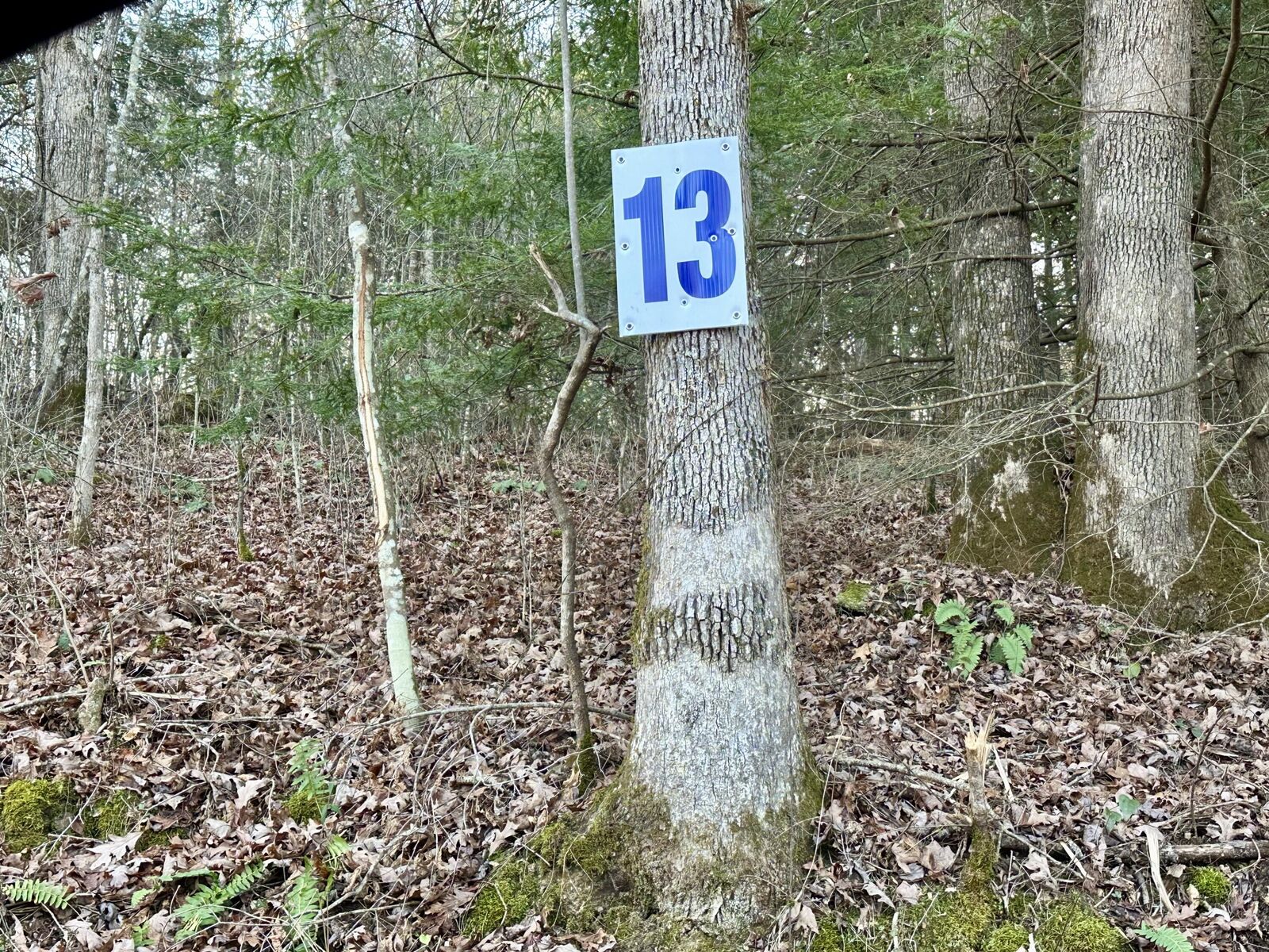 Property Photo:  Lot 13 Hensley Road  KY 40729 