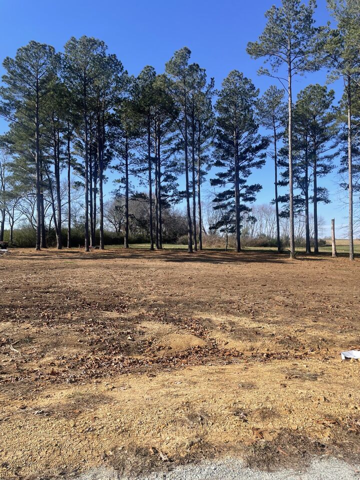 Property Photo: 1145 Highway 64 W TN 38464