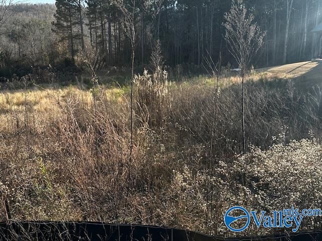 Property Photo:  Lot 118 Cherokee Ridge Drive  AL 35175 