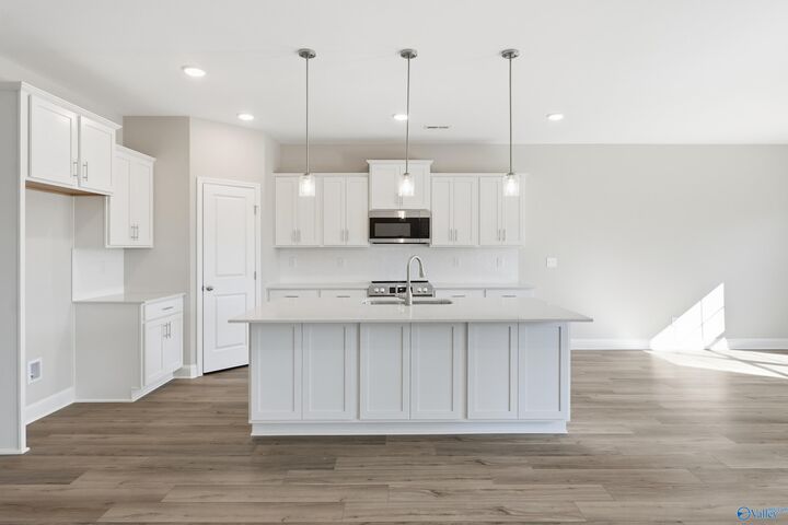 Property Photo: 29244 Crawfish Drive AL 35749