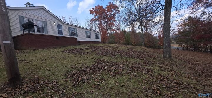 Property Photo:  9555 County Road 137  AL 35989 